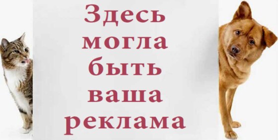 Реклама